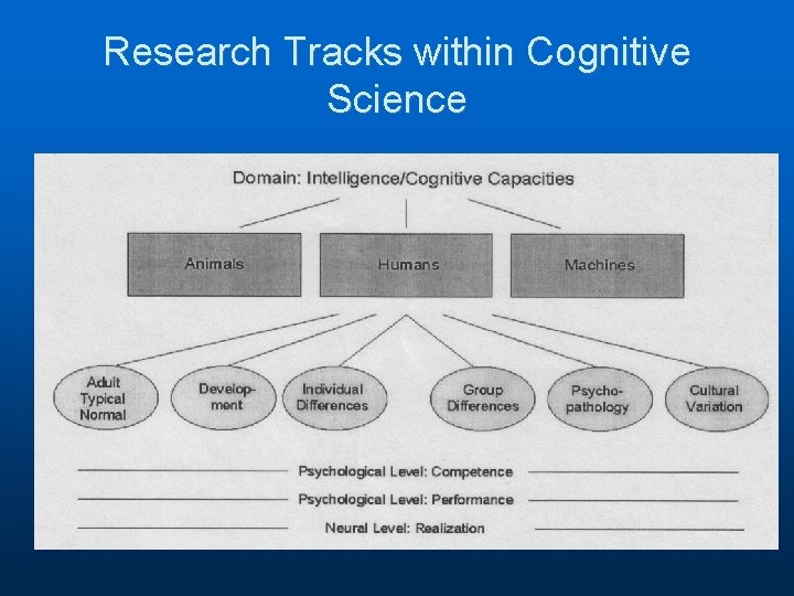 Research Tracks within Cognitive Science Research Tracks within Cognitive Science