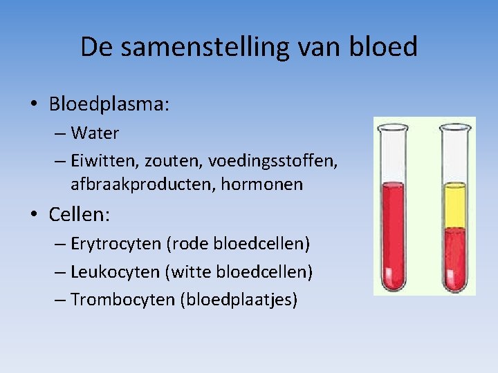 De samenstelling van bloed • Bloedplasma: – Water – Eiwitten, zouten, voedingsstoffen, afbraakproducten, hormonen