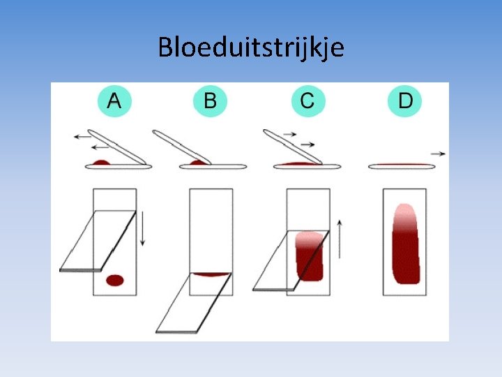 Bloeduitstrijkje 