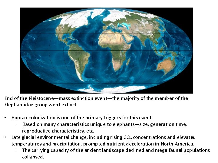 End of the Pleistocene—mass extinction event—the majority of the member of the Elephantidae group