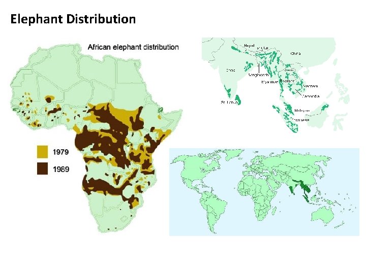 Elephant Distribution 