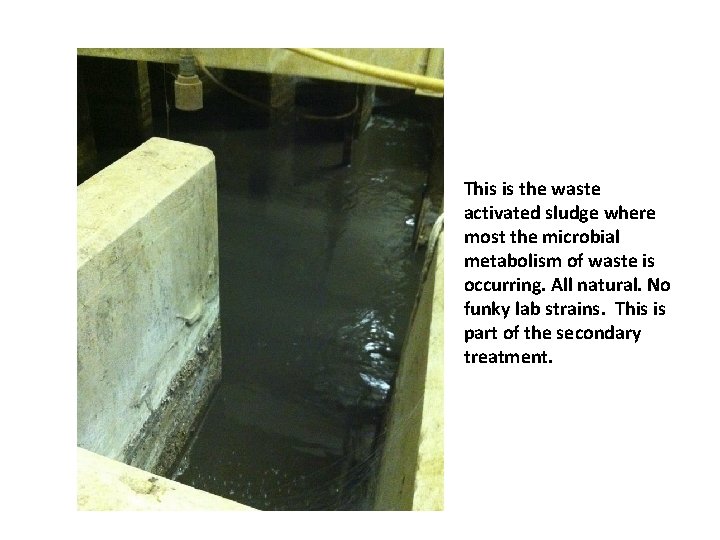 This is the waste activated sludge where most the microbial metabolism of waste is