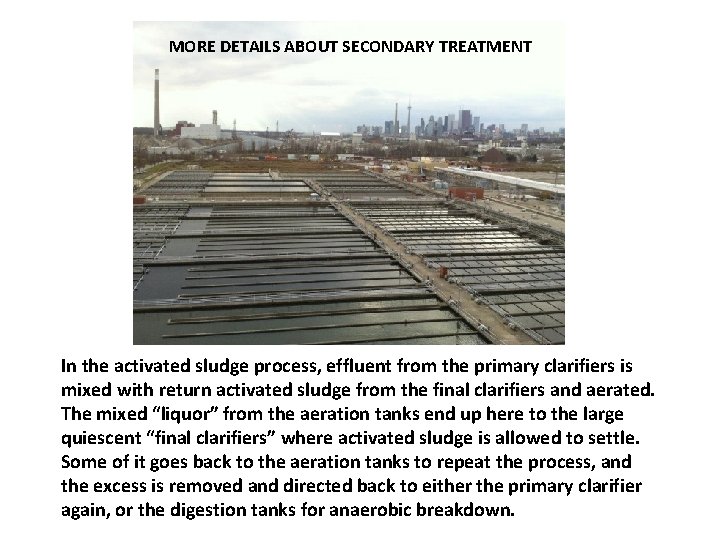 MORE DETAILS ABOUT SECONDARY TREATMENT In the activated sludge process, effluent from the primary