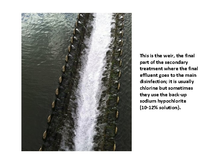 This is the weir, the final part of the secondary treatment where the final