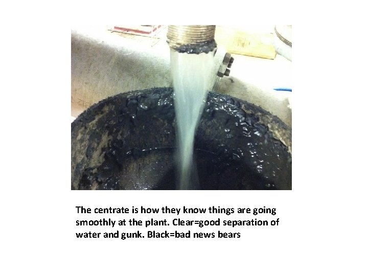 The centrate is how they know things are going smoothly at the plant. Clear=good