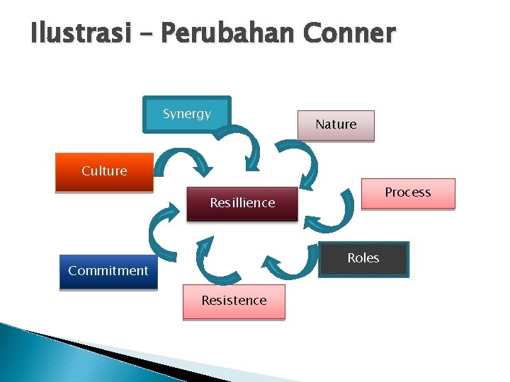 Ilustrasi – Perubahan Conner Synergy Nature Culture Process Resillience Roles Commitment Resistence 