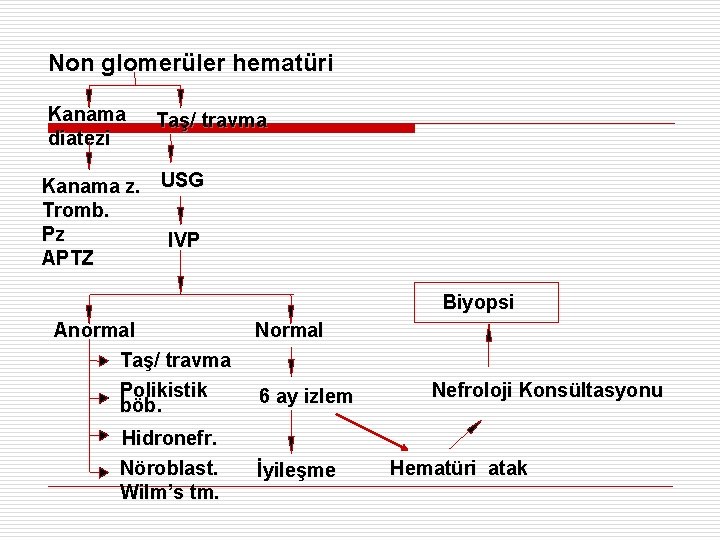 Non glomerüler hematüri Kanama diatezi Taş/ travma Kanama z. USG Tromb. Pz IVP APTZ