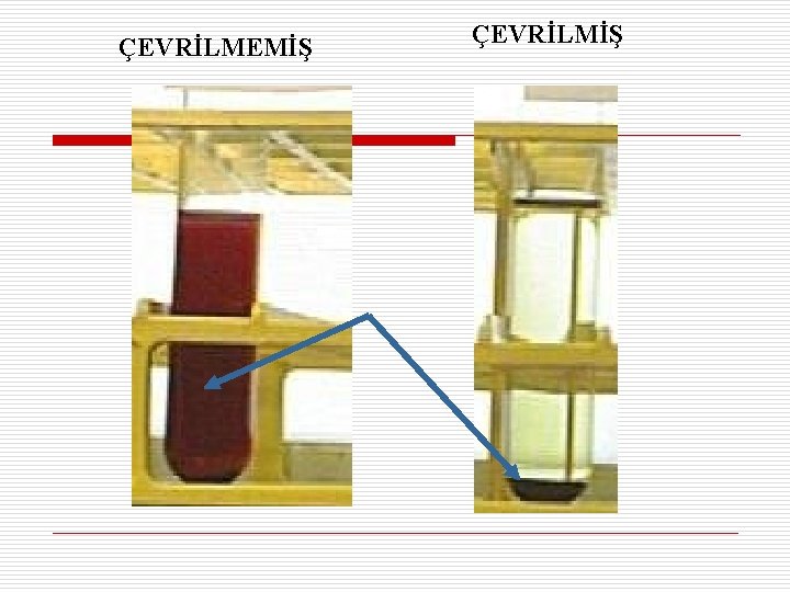 ÇEVRİLMEMİŞ ÇEVRİLMİŞ 