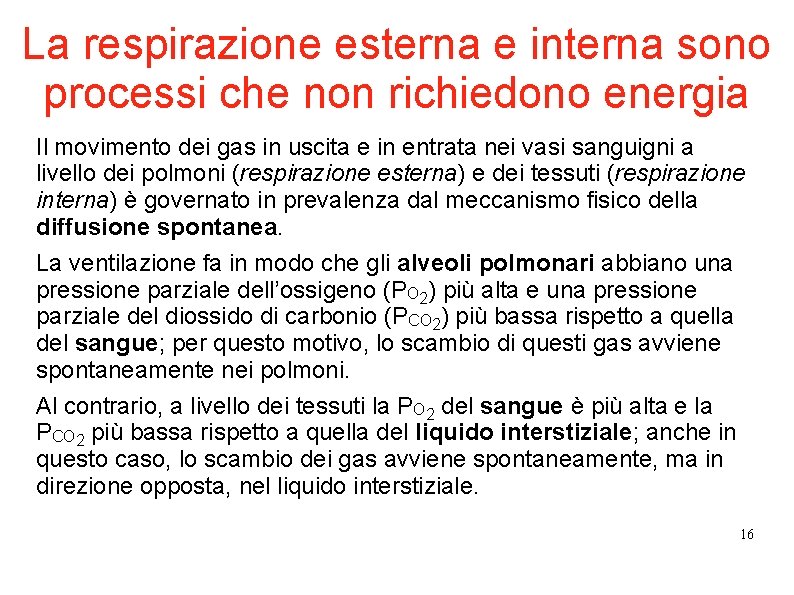La respirazione esterna e interna sono processi che non richiedono energia Il movimento dei