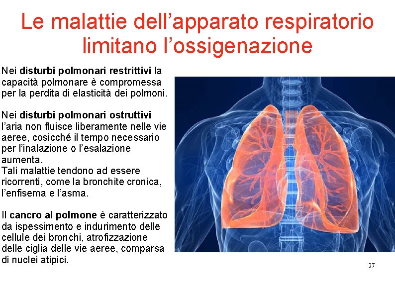 Le malattie dell’apparato respiratorio limitano l’ossigenazione Nei disturbi polmonari restrittivi la capacità polmonare è