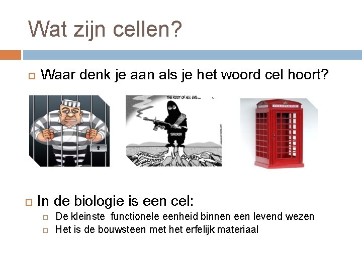 Wat zijn cellen? Waar denk je aan als je het woord cel hoort? In