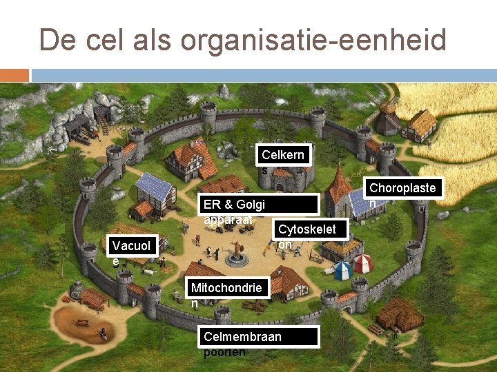 De cel als organisatie-eenheid Celkern Stadhui s ER & Golgi Markt apparaat Vacuol opsla