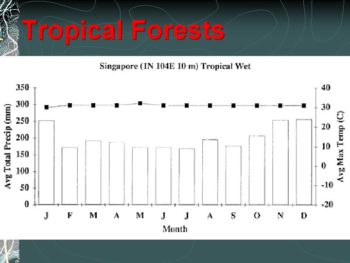 Tropical Forests 