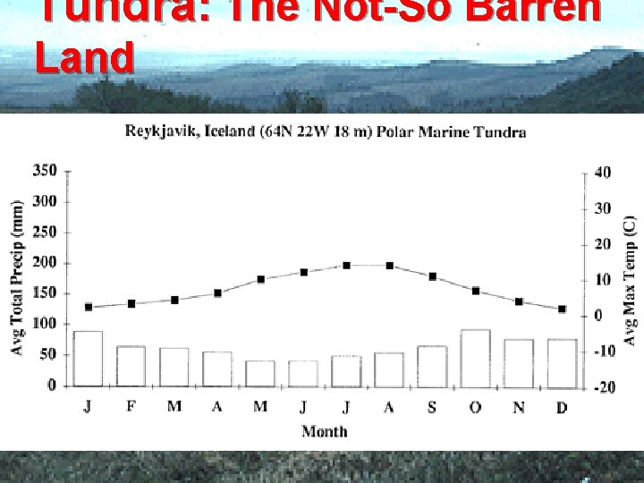 Tundra: The Not-So Barren Land 