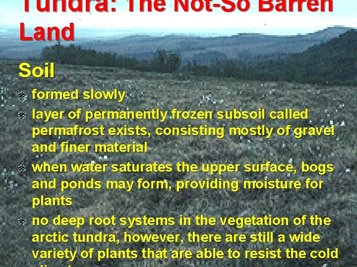 Tundra: The Not-So Barren Land Soil formed slowly layer of permanently frozen subsoil called
