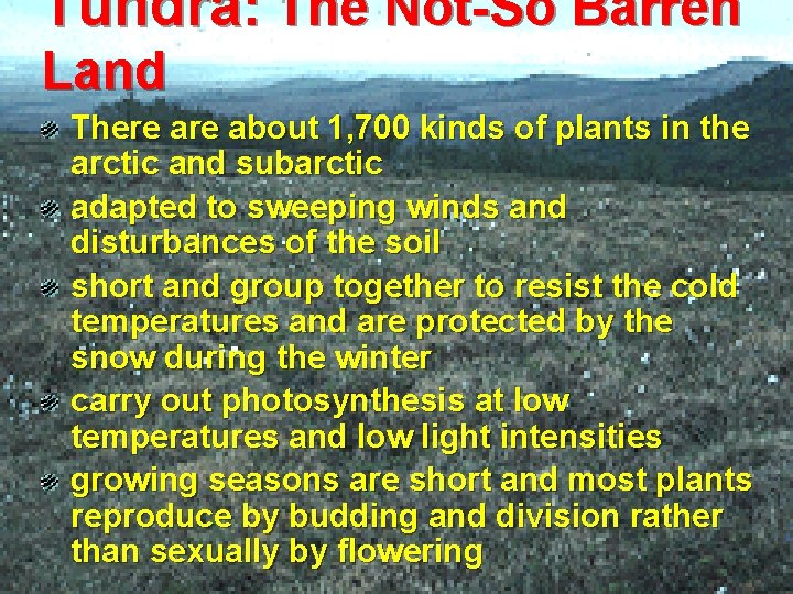 Tundra: The Not-So Barren Land There about 1, 700 kinds of plants in the