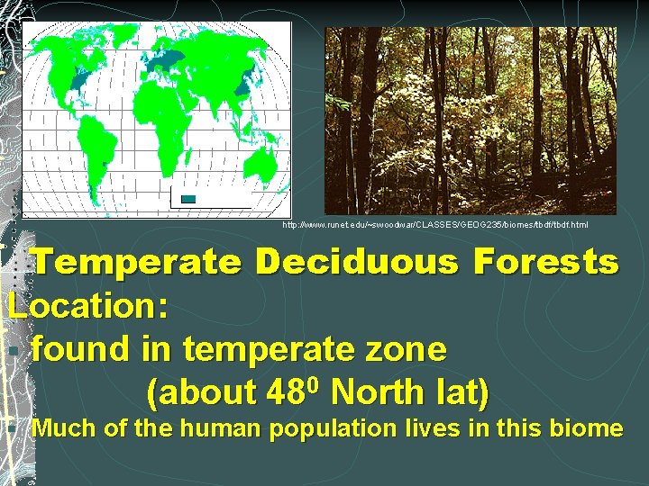 http: //www. runet. edu/~swoodwar/CLASSES/GEOG 235/biomes/tbdf. html Temperate Deciduous Forests Location: § found in temperate