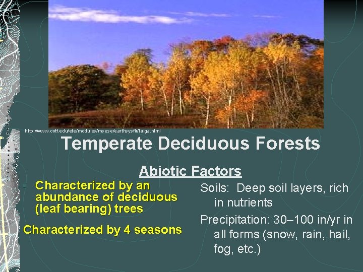 http: //www. cotf. edu/ete/modules/msese/earthsysflr/taiga. html Temperate Deciduous Forests Abiotic Factors § Characterized by an