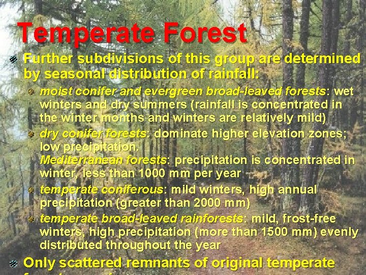 Temperate Forest Further subdivisions of this group are determined by seasonal distribution of rainfall: