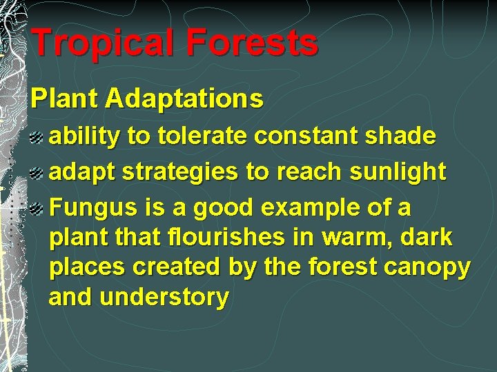 Tropical Forests Plant Adaptations ability to tolerate constant shade adapt strategies to reach sunlight