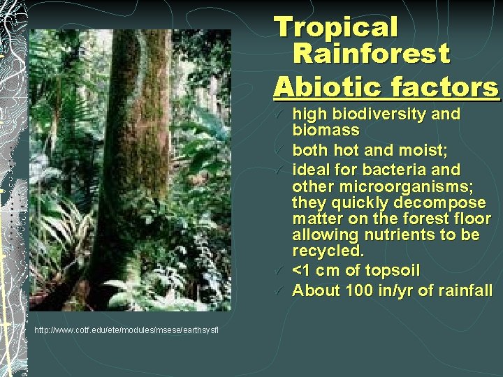 Tropical Rainforest Abiotic factors ü ü ü http: //www. cotf. edu/ete/modules/msese/earthsysfl high biodiversity and