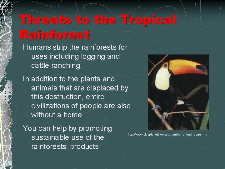 Threats to the Tropical Rainforest Humans strip the rainforests for uses including logging and