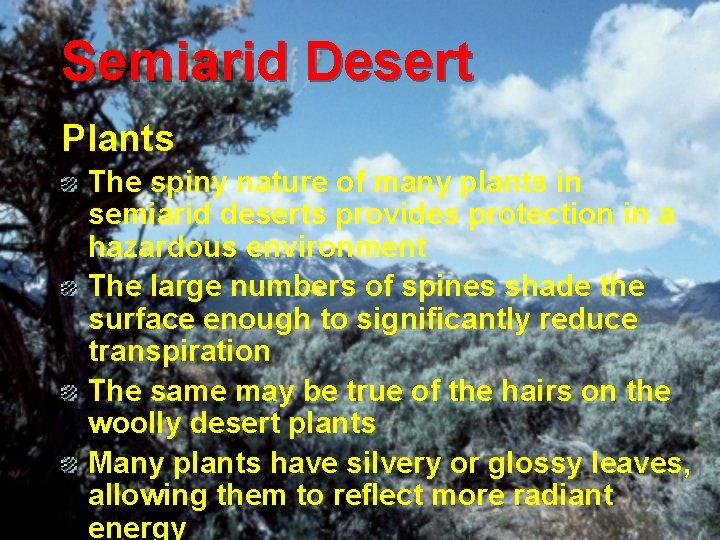 Semiarid Desert Plants The spiny nature of many plants in semiarid deserts provides protection