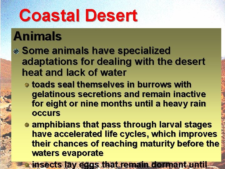 Coastal Desert Animals Some animals have specialized adaptations for dealing with the desert heat