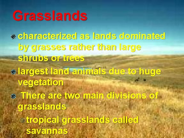 Grasslands characterized as lands dominated by grasses rather than large shrubs or trees largest