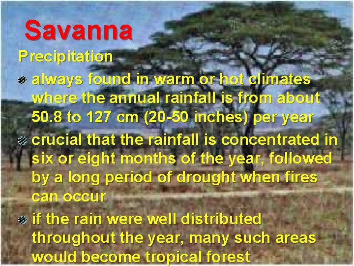 Savanna Precipitation always found in warm or hot climates where the annual rainfall is