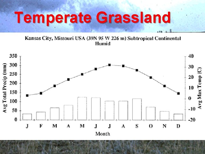 Temperate Grassland 