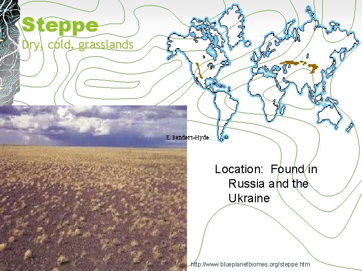 Steppe Dry, cold, grasslands Location: Found in Russia and the Ukraine http: //www. blueplanetbiomes.