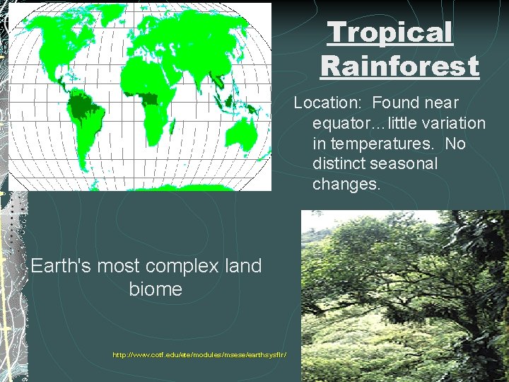 Tropical Rainforest Location: Found near equator…little variation in temperatures. No distinct seasonal changes. Earth's