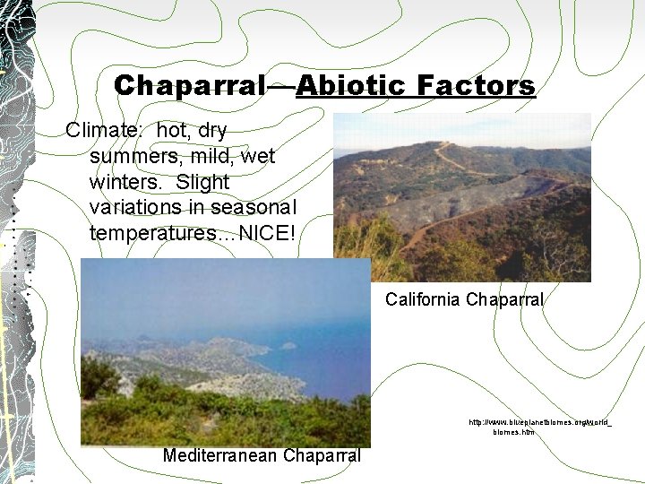 Chaparral—Abiotic Factors Climate: hot, dry summers, mild, wet winters. Slight variations in seasonal temperatures…NICE!