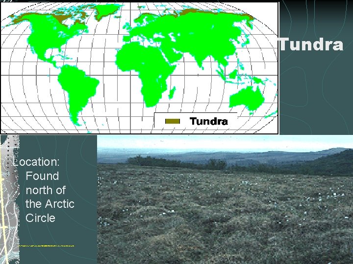 Tundra Location: Found north of the Arctic Circle http: //www. runet. edu/~swoodwar/CLASSES/GEOG 235/biomes/tundra. html