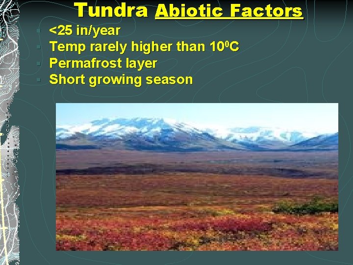 Tundra Abiotic Factors § § <25 in/year Temp rarely higher than 100 C Permafrost