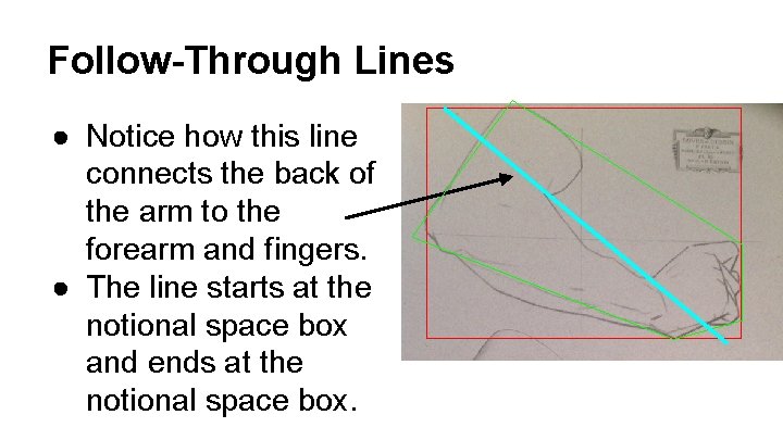 Follow-Through Lines ● Notice how this line connects the back of the arm to