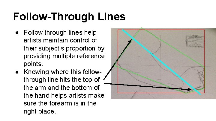 Follow-Through Lines ● Follow through lines help artists maintain control of their subject’s proportion