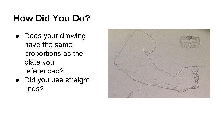 How Did You Do? ● Does your drawing have the same proportions as the