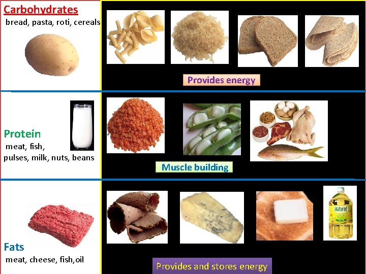 Carbohydrates bread, pasta, roti, cereals Provides energy Protein meat, fish, pulses, milk, nuts, beans