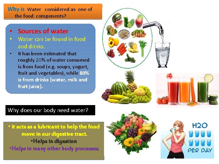 Why is Water considered as one of the food components? • Sources of water