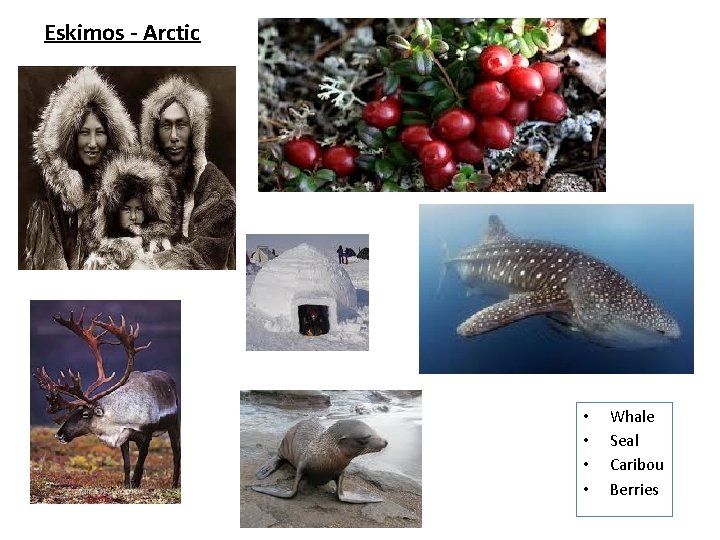 Eskimos - Arctic • • Whale Seal Caribou Berries 