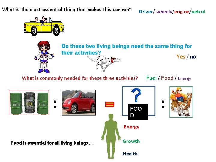 What is the most essential thing that makes this car run? Driver/ wheels/engine/petrol Do