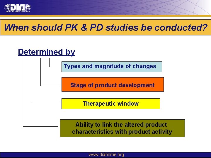When should PK & PD studies be conducted? Determined by Types and magnitude of