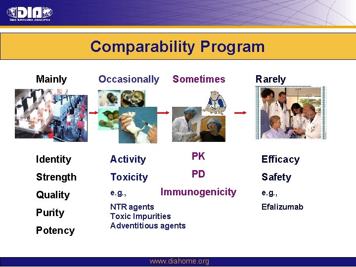 Comparability Program Mainly Occasionally Sometimes Identity Activity PK Efficacy Strength Toxicity PD Safety Quality