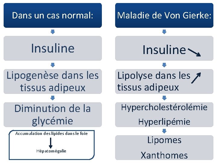 Dans un cas normal: Maladie de Von Gierke: Insuline Lipogenèse dans les tissus adipeux