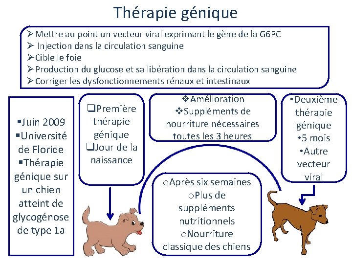 Thérapie génique ØMettre au point un vecteur viral exprimant le gène de la G