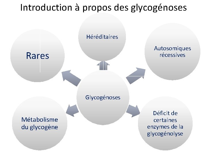Introduction à propos des glycogénoses Héréditaires Autosomiques récessives Rares Glycogénoses Métabolisme du glycogène Déficit