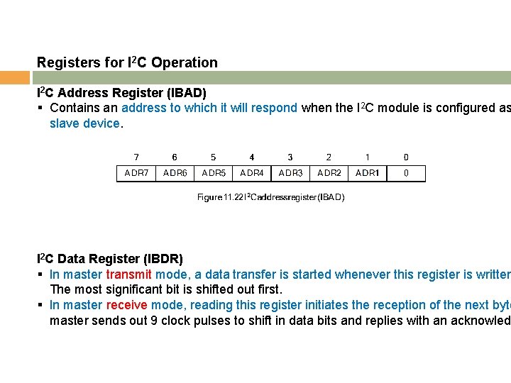 Registers for I 2 C Operation I 2 C Address Register (IBAD) § Contains