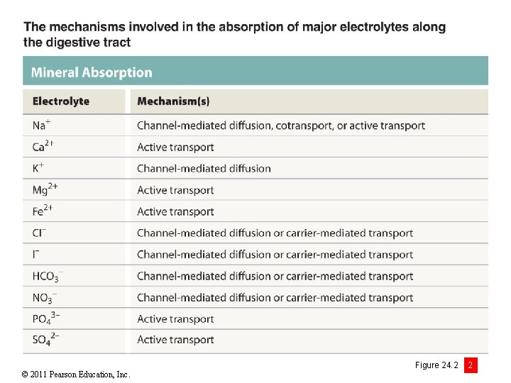 © 2011 Pearson Education, Inc. Figure 24. 2 2 